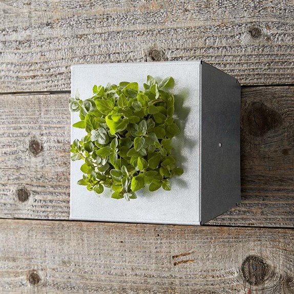 Mini Galvanized Vertical Wall Planter Williams Sonoma