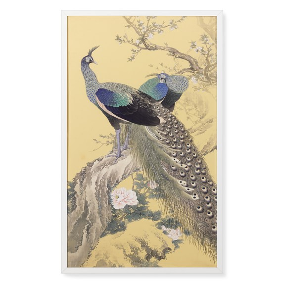 Peacock Elegance Williams Sonoma