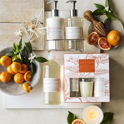 Williams Sonoma Sunny Orange Citrus Collection