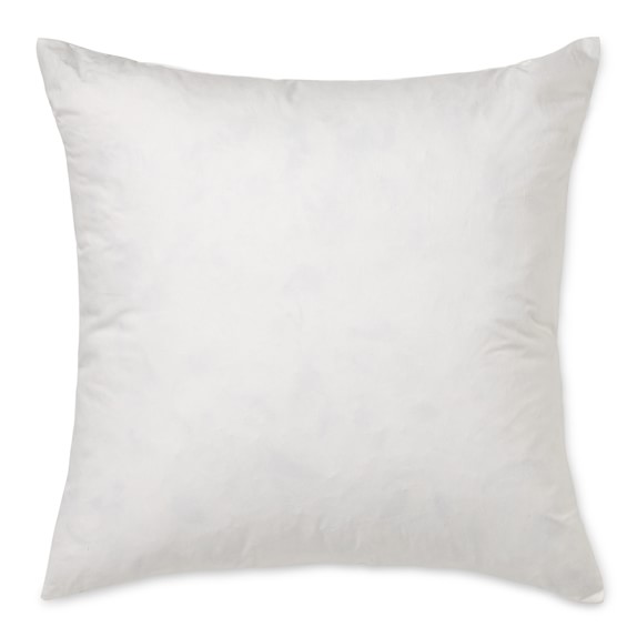 Williams Sonoma Decorative Pillow Insert, 20