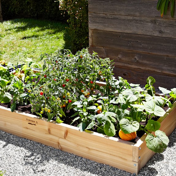 Farmer D Cedar Rectangular Raised Bed Kit Williams Sonoma