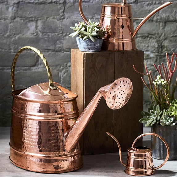 Tall Copper Watering Can Williams Sonoma