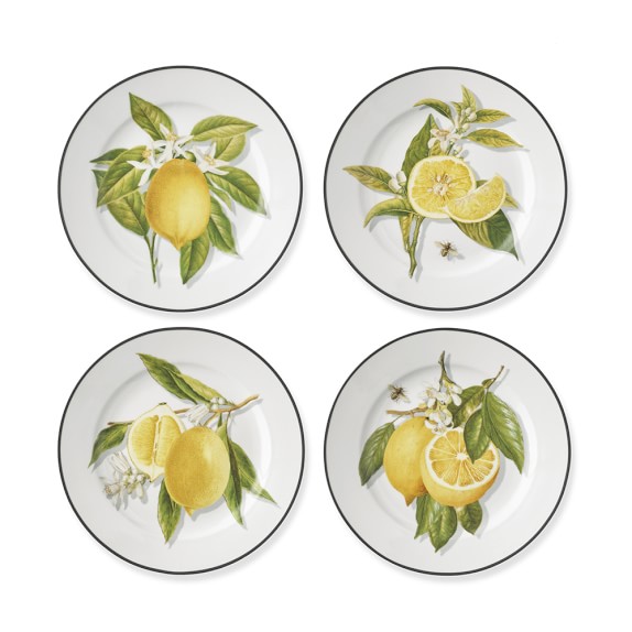 Meyer Lemon Salad Plates, Mixed Set of 4 Williams Sonoma