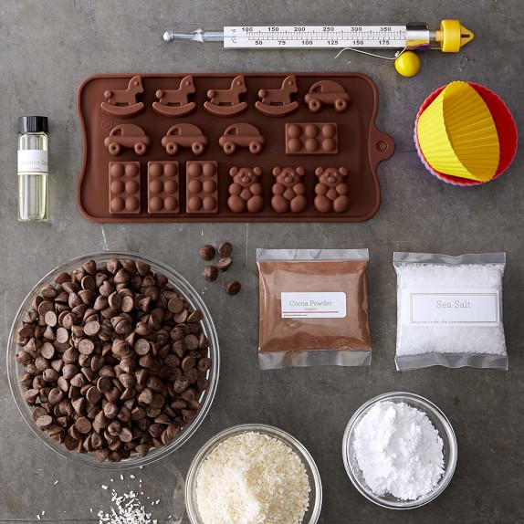 Organic Chocolate Making Kit Williams Sonoma