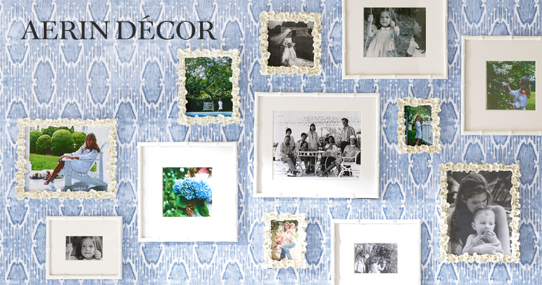The AERIN Collection