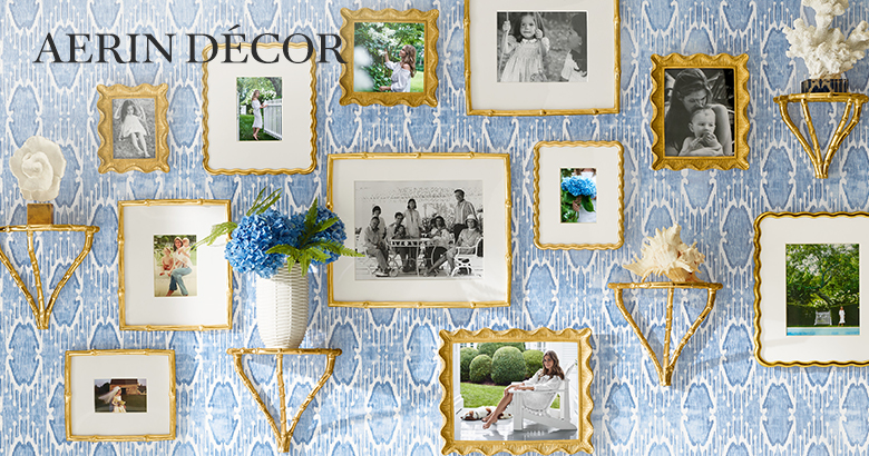 The AERIN Collection
