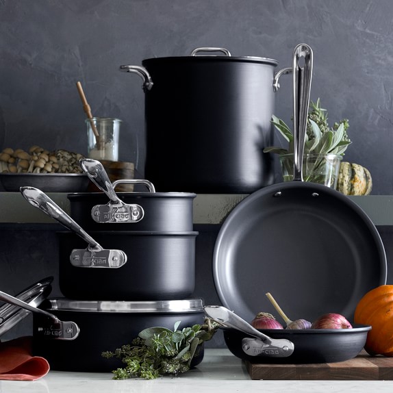 AllClad NS1 Nonstick Induction Saucepan Williams Sonoma