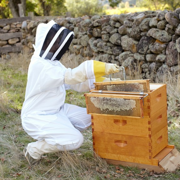 Backyard Beehive Williams Sonoma Backyard Beehive. Saved. View Larger. Roll Over Image to Zoom - Backyard Beehive Williams Sonoma