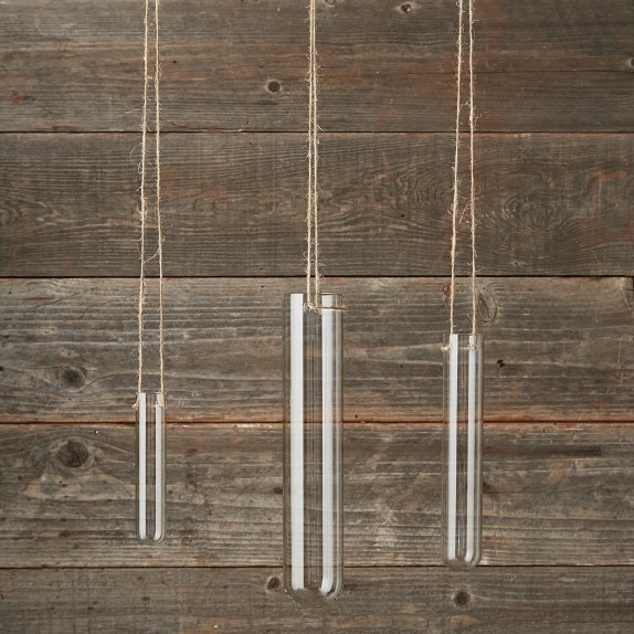 Hanging Glass Tube Vase Williams Sonoma