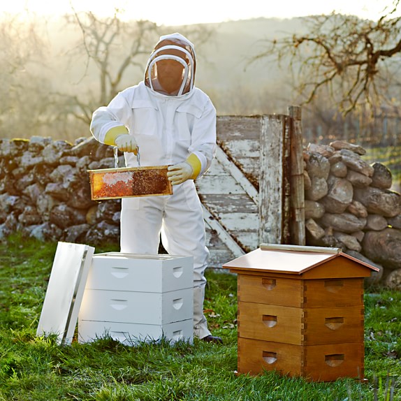 Backyard Beehive Williams Sonoma Backyard Beehive. Saved. View Larger. Roll Over Image to Zoom - Backyard Beehive Williams Sonoma