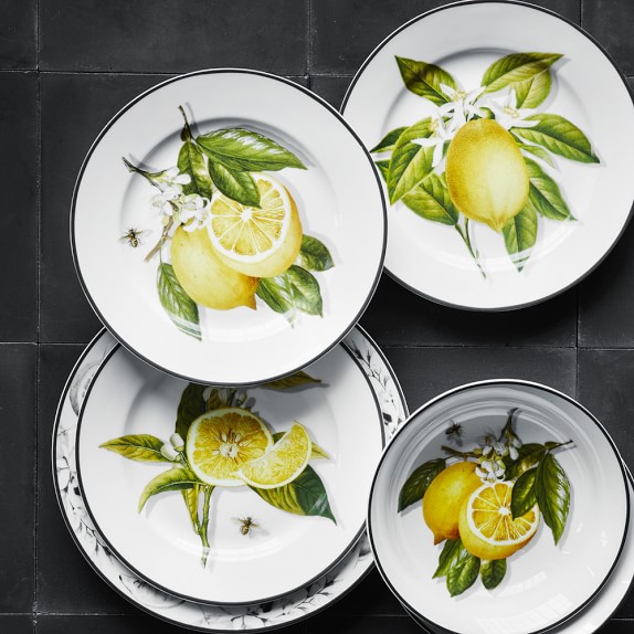 Meyer Lemon Salad Plates, Mixed Set of 4 Williams Sonoma