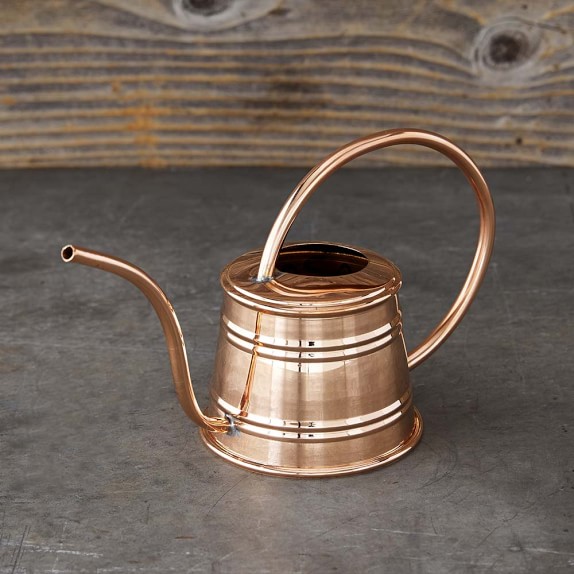Mini Copper Watering Can Williams Sonoma