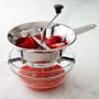 Moulinex Food Mill | Williams Sonoma