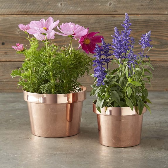 Copper Flower Pot Williams Sonoma