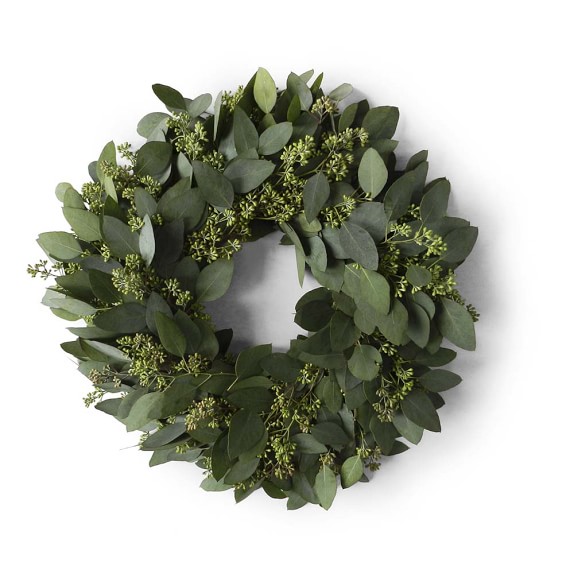Seeded Eucalyptus Wreath Williams Sonoma