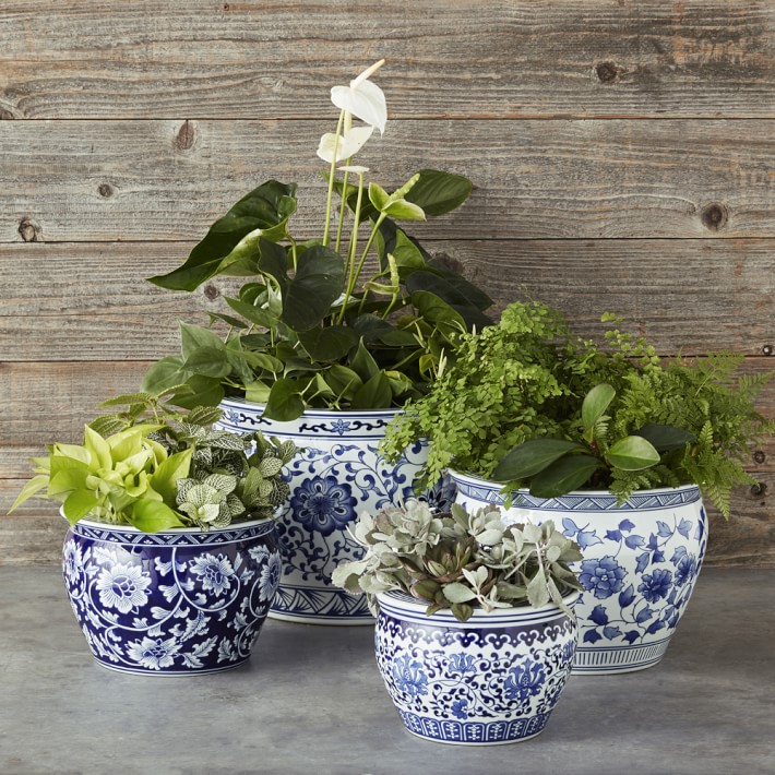 Blue White Ceramic Planter Large Williams Sonoma