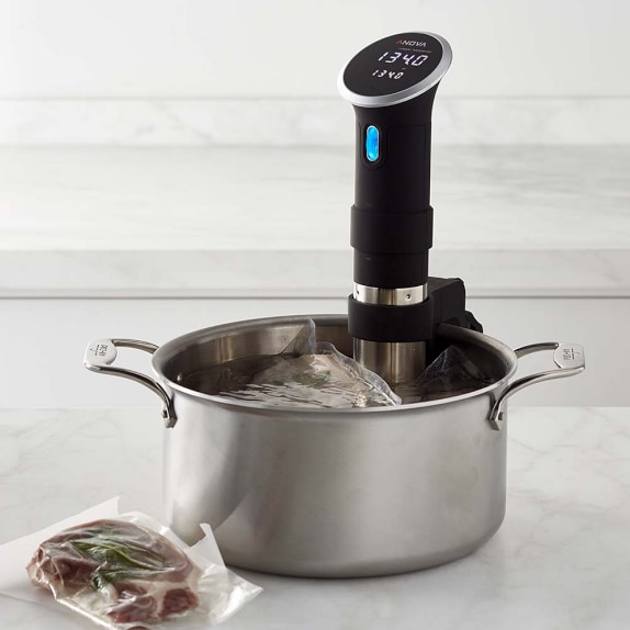 Anova Precision Sous Vide Cooker with Wi-Fi | Williams Sonoma