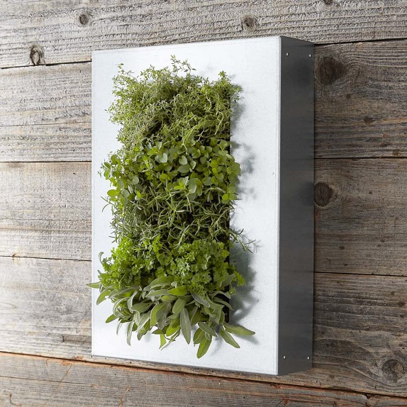 Galvanized Vertical Wall Planter Williams Sonoma