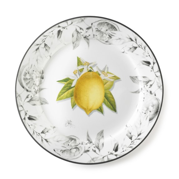 Meyer Lemon Dinner Plates Williams Sonoma