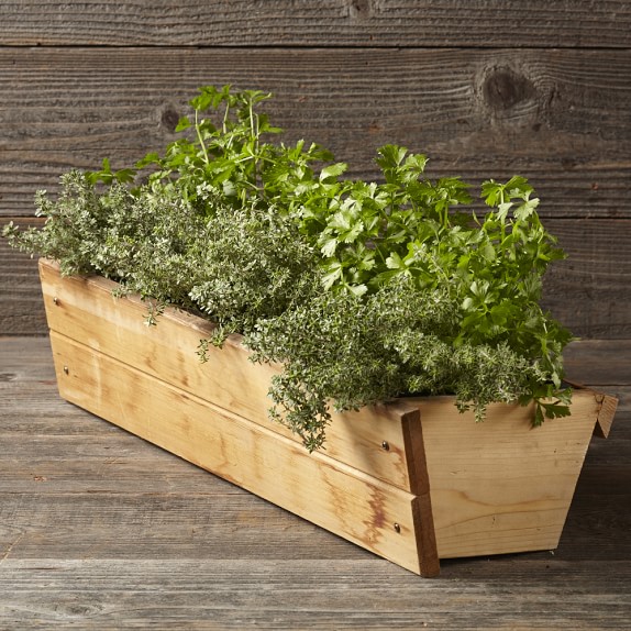 Vertical GRO Planter Box Williams Sonoma