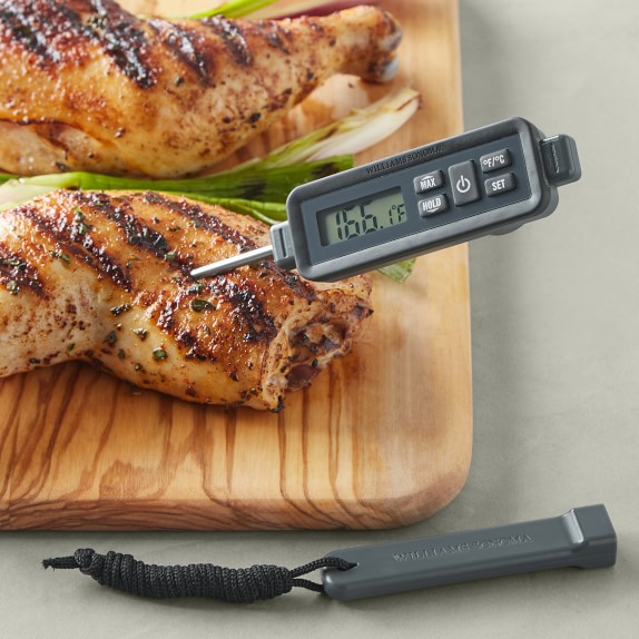 Williams Sonoma Outdoor Waterproof Pen Thermometer