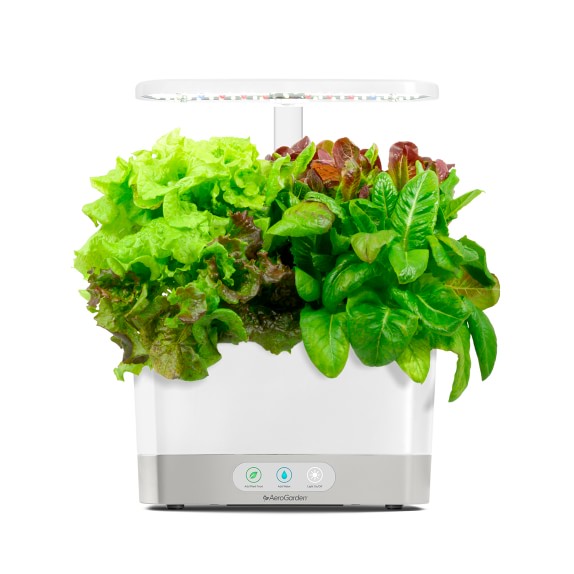 Aerogarden Base Harvest, White