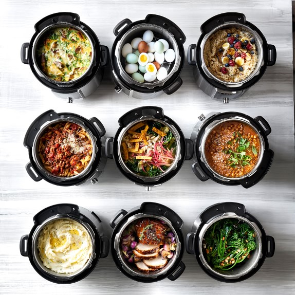 Instant Pot Max Multi-Use Programmable Pressure Cooker, 6-Qt