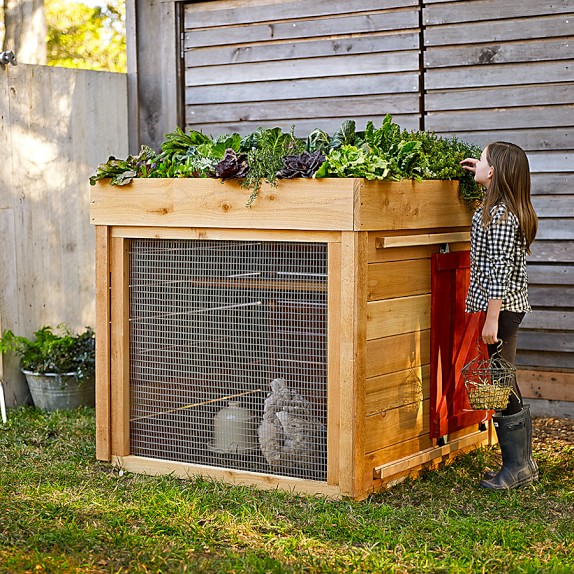 Barnyard Chicken Coop Williams Sonoma