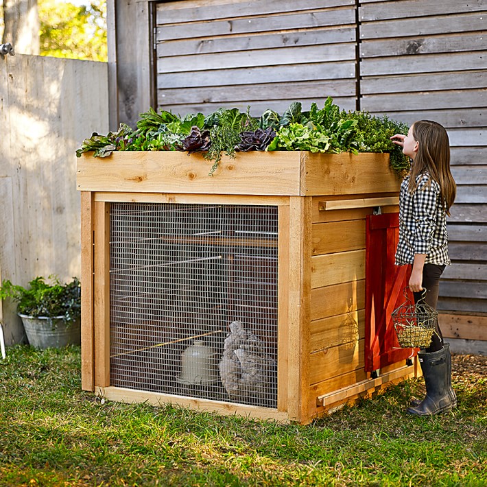 Barnyard Chicken Coop Williams Sonoma
