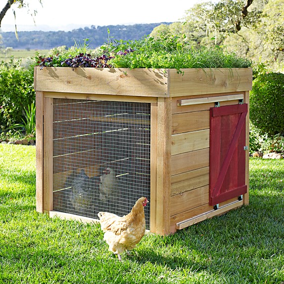 Barnyard Chicken Coop Williams Sonoma