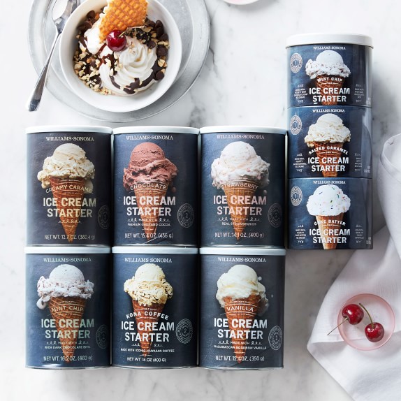 Williams Sonoma Ice Cream Starter, Chocolate Williams Sonoma