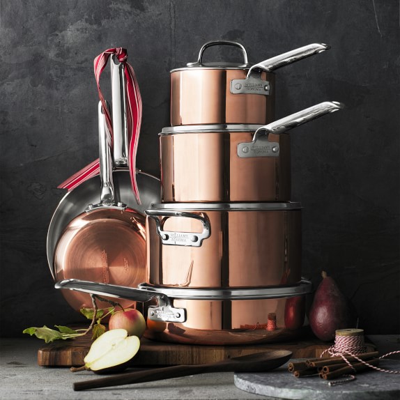 Williams Sonoma Professional Copper 10Piece Cookware Set Williams Sonoma