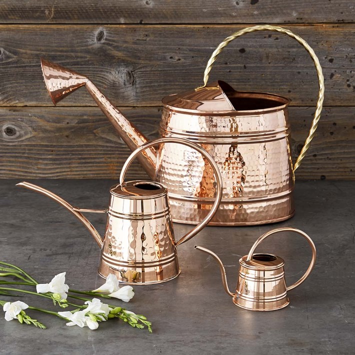 Mini Copper Watering Can Williams Sonoma