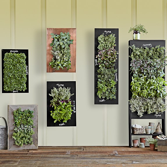 Chalkboard Wall Planter
