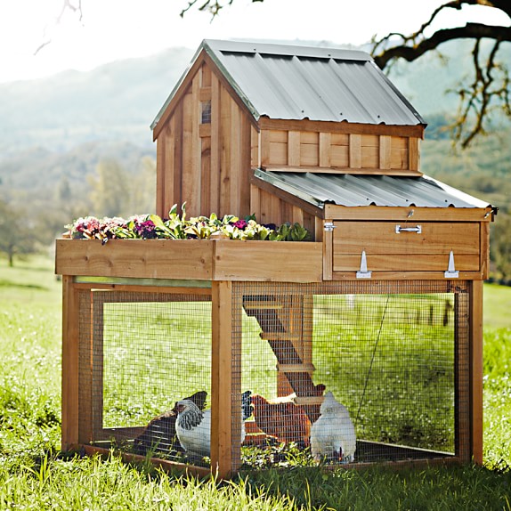 Cedar Chicken Coop Run With Planter