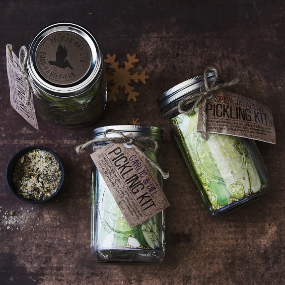 DIY Pickle Kit Williams Sonoma
