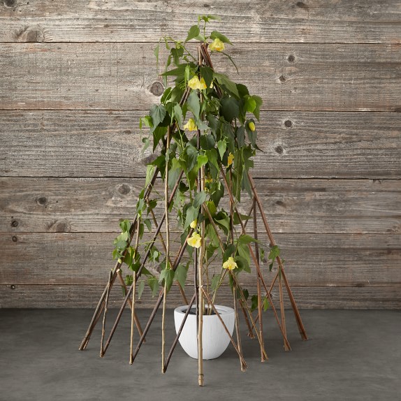 Handmade Willow Cloche, Medium