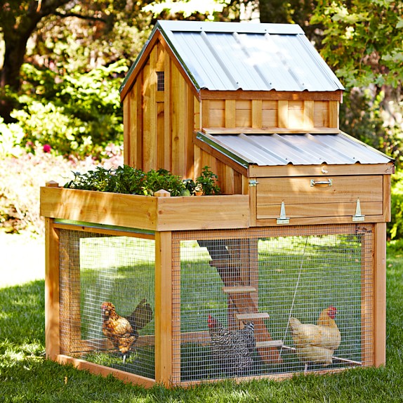 Pawhut Deluxe Backyard Chicken Coop Hen House With Outdoor Run 6075h X 82w X 345d