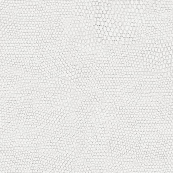Komodo Ivory Swatch