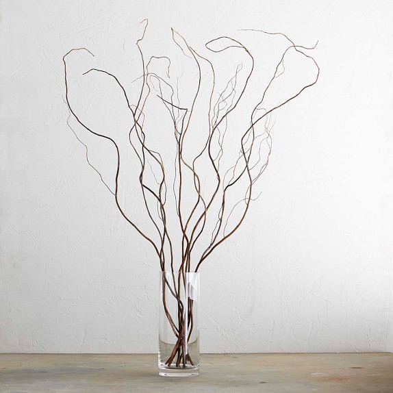 Curly Willow Branches Williams Sonoma