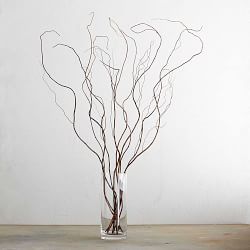 Olive Branch Ms Williams Sonoma