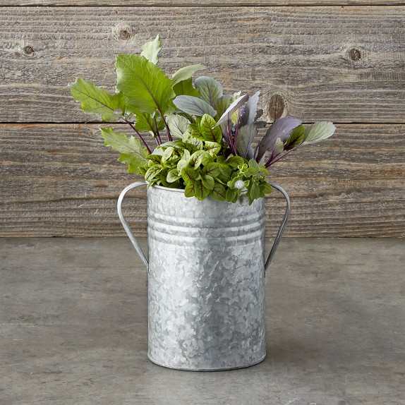 Galvanized Planters Williams Sonoma
