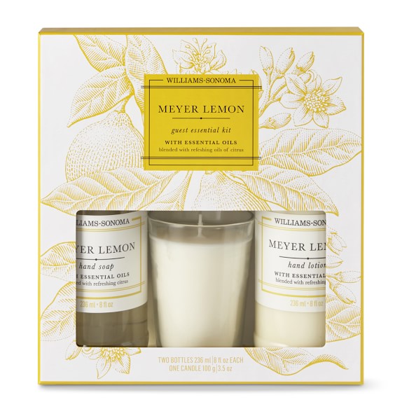 Williams-Sonoma Meyer Lemon Guest Set