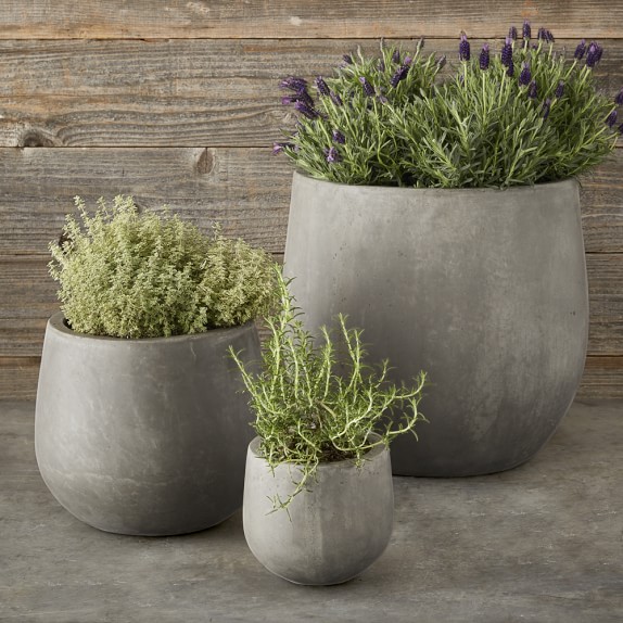 Round Concrete Planter Set
