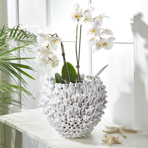 Ceramic Barnacle Vase