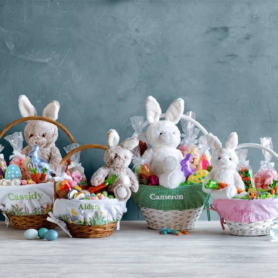 Williams Sonoma Pottery Barn Kids Small Peter Rabbit Easter
