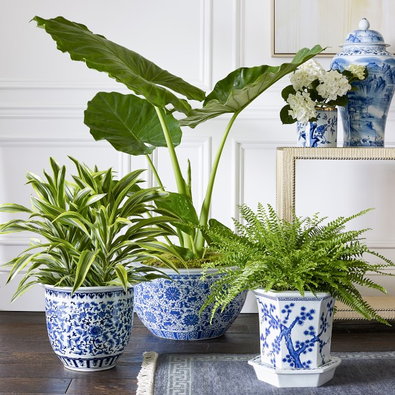 Blue And White Ceramic Planter Fl Williams Sonoma Blue And White Ceramic Planter Fl Williams Sonoma