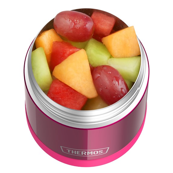 Thermos Funtainer Hot Cold Food Container Williams Sonoma