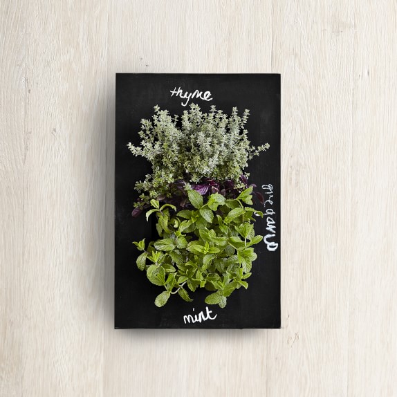 Chalkboard Wall Mounted Frame Kit