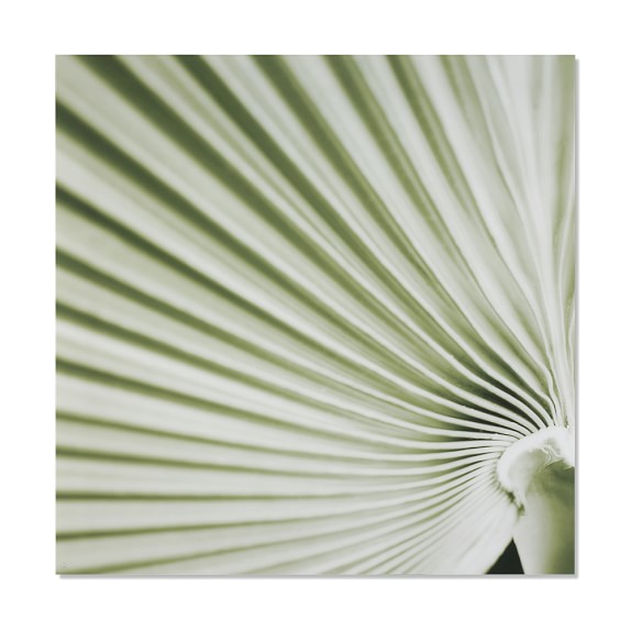 Green Palms, 36x36, 1